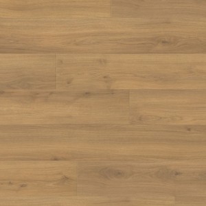 Ламинат Haro TRITTY 100 Campus 4V  Дуб Эмилия Медовый